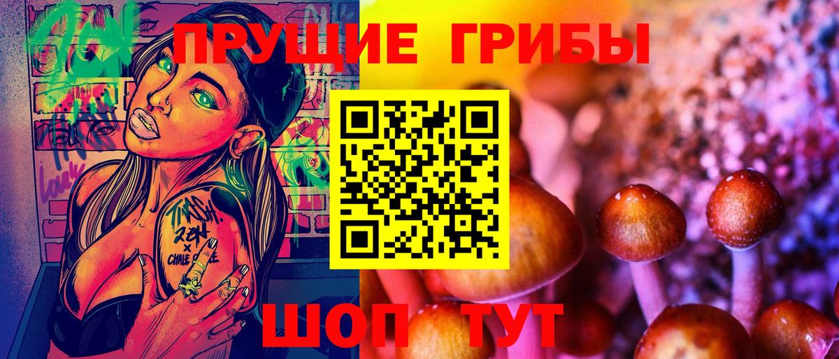Псилоцибиновые грибы Cubensis  Вход с VPN  Алексин 